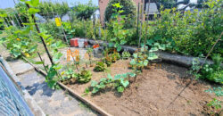 Trilocale Pari al Nuovo con Giardino Privato, Box e 7 Posti Auto – Coste di Leca (Albenga)