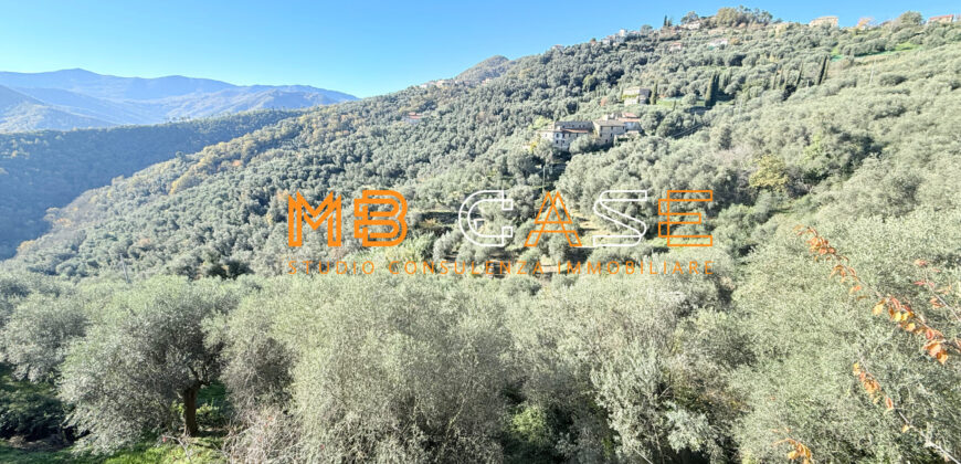 Cascina in Vendita nell’Entroterra Ligure – Casanova Lerrone (SV)