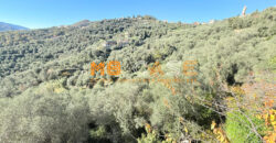Cascina in Vendita nell’Entroterra Ligure – Casanova Lerrone (SV)