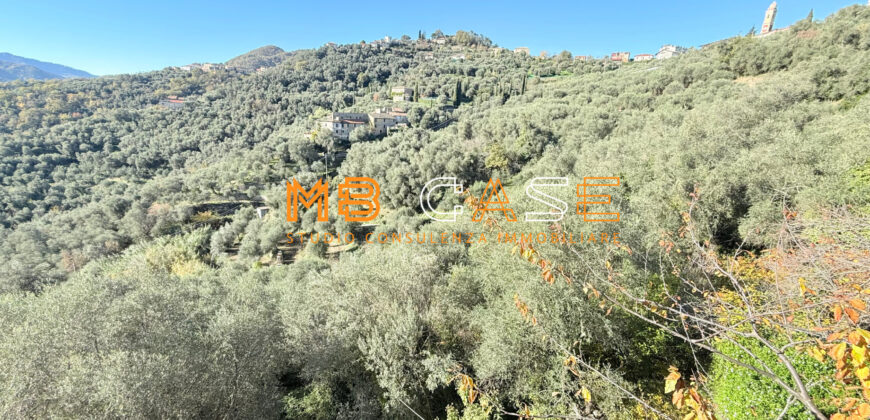 Cascina in Vendita nell’Entroterra Ligure – Casanova Lerrone (SV)