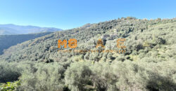 Cascina in Vendita nell’Entroterra Ligure – Casanova Lerrone (SV)