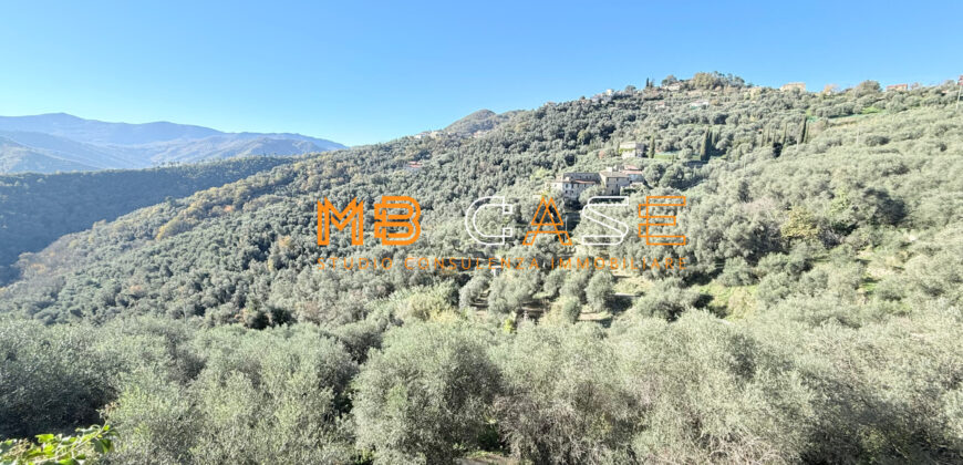 Cascina in Vendita nell’Entroterra Ligure – Casanova Lerrone (SV)