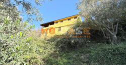 Cascina in Vendita nell’Entroterra Ligure – Casanova Lerrone (SV)