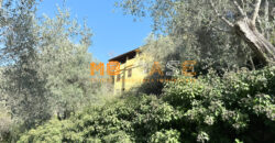 Cascina in Vendita nell’Entroterra Ligure – Casanova Lerrone (SV)