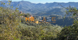 Cascina in Vendita nell’Entroterra Ligure – Casanova Lerrone (SV)