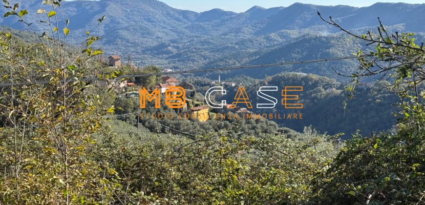 Cascina in Vendita nell’Entroterra Ligure – Casanova Lerrone (SV)