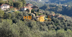 Cascina in Vendita nell’Entroterra Ligure – Casanova Lerrone (SV)