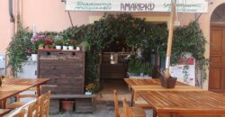 ATTIVITÀ COMMERCIALE IN VENDITA A LAIGUEGLIA (SV)