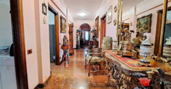 Ampio appartamento con tripla esposizione e box