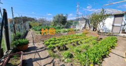 Soleggiatissima Villa a schiera in vendita a Albenga