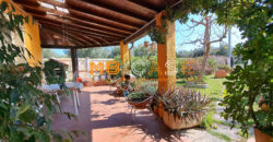 Soleggiatissima Villa a schiera in vendita a Albenga