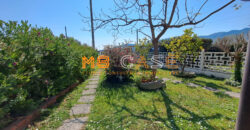 Soleggiatissima Villa a schiera in vendita a Albenga